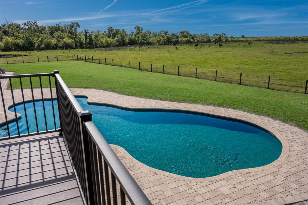 30854 Singletary Road, Myakka City, FL 34251 Photo