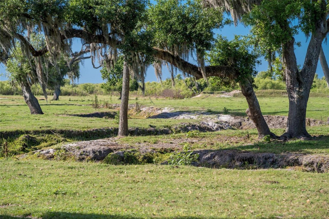 30854 Singletary Road, Myakka City, FL 34251 Photo