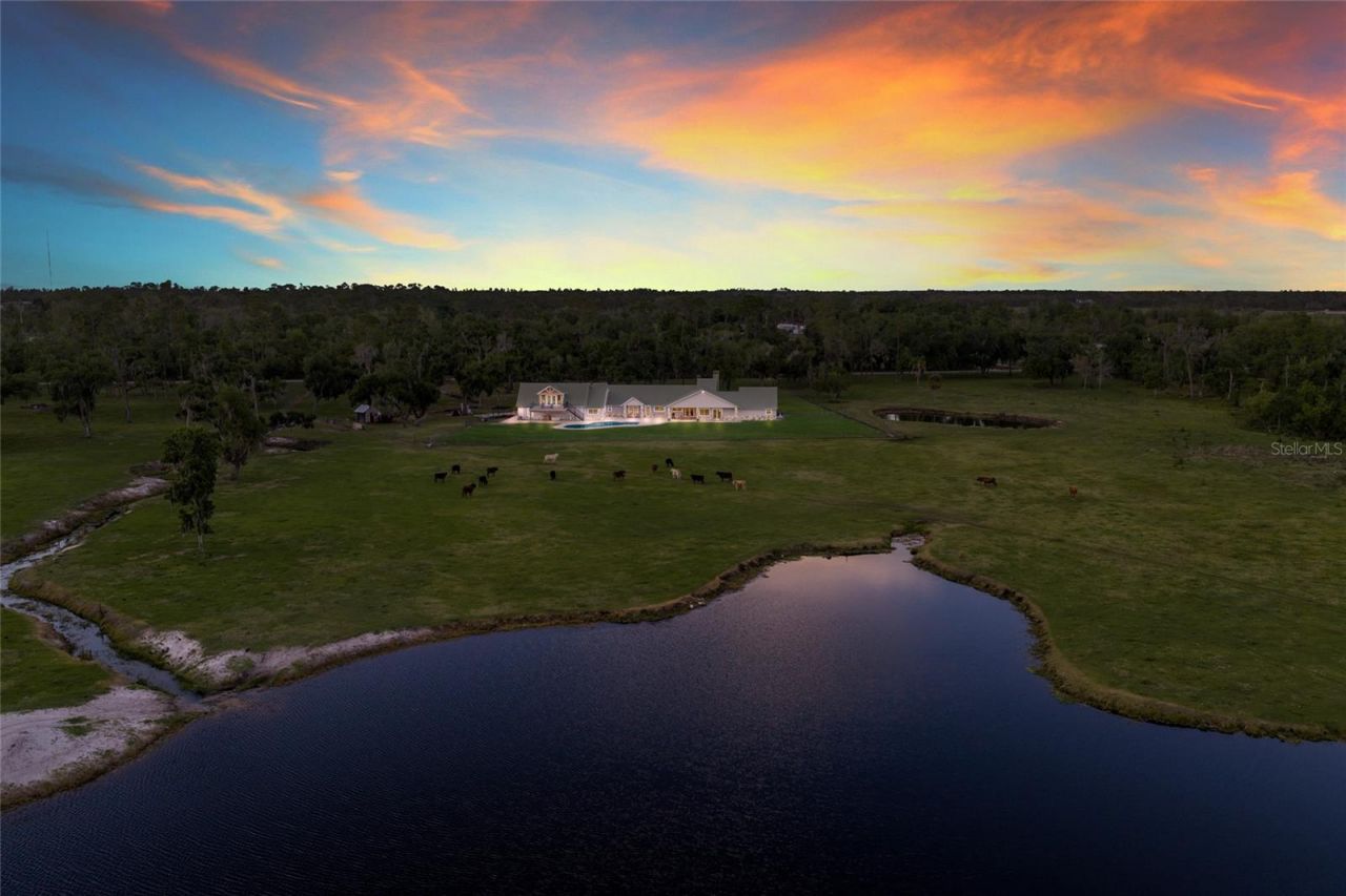 30854 Singletary Road, Myakka City, FL 34251 Photo