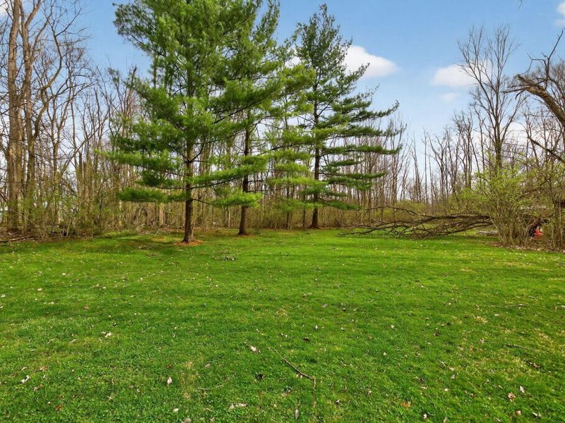 4260 Township Road 99 , Mount Gilead, OH 43338 Photo 51