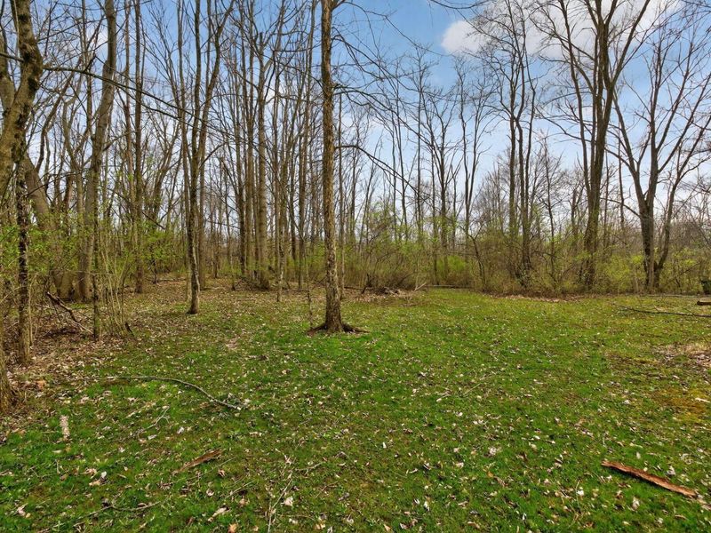 4260 Township Road 99 , Mount Gilead, OH 43338 Photo 54