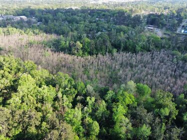 00 WEST HIGHLAND AVENUE, West Monroe, LA 71291