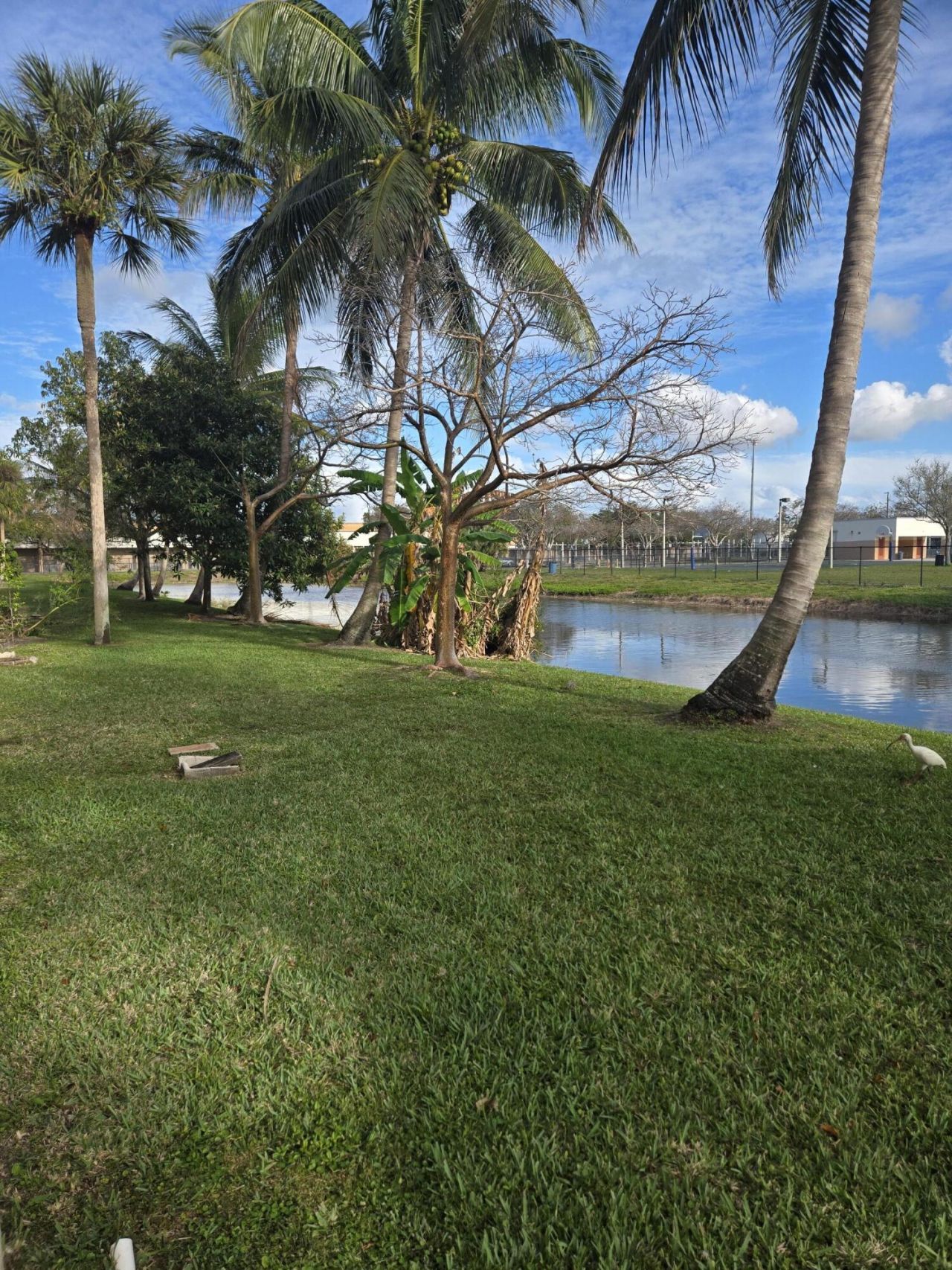 3940 NW 42nd Avenue, Unit 221, Lauderdale Lakes, FL 33319 Photo