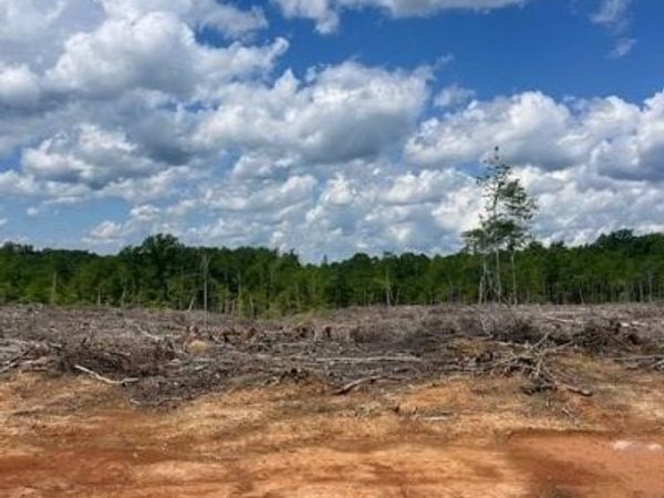 0 Germantown Road , Keysville, VA 23947