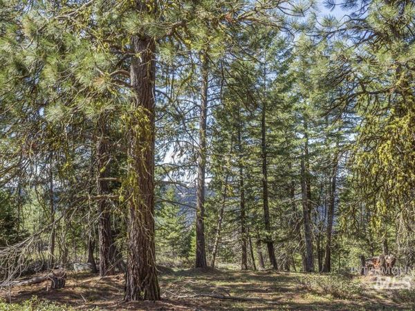 161 Little Donner Drive, Cascade, ID 83611