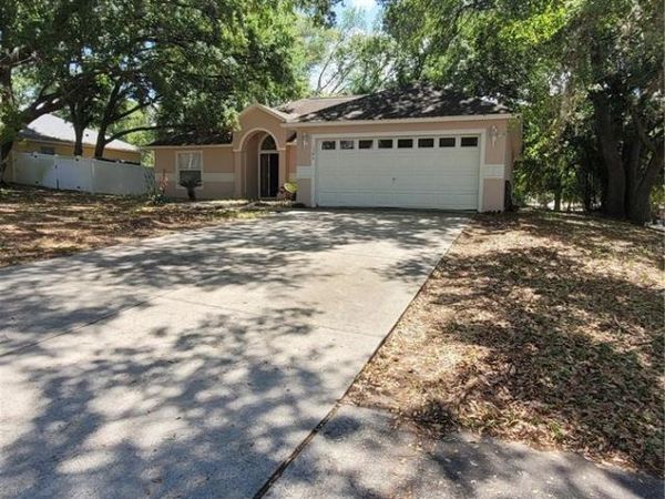 1346 RAIN FOREST LANE , MINNEOLA, FL 34715