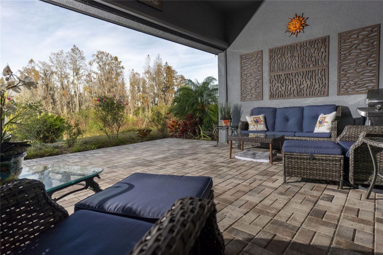 19267 Ship Wheel Way , Land O Lakes, FL 34638 Photo