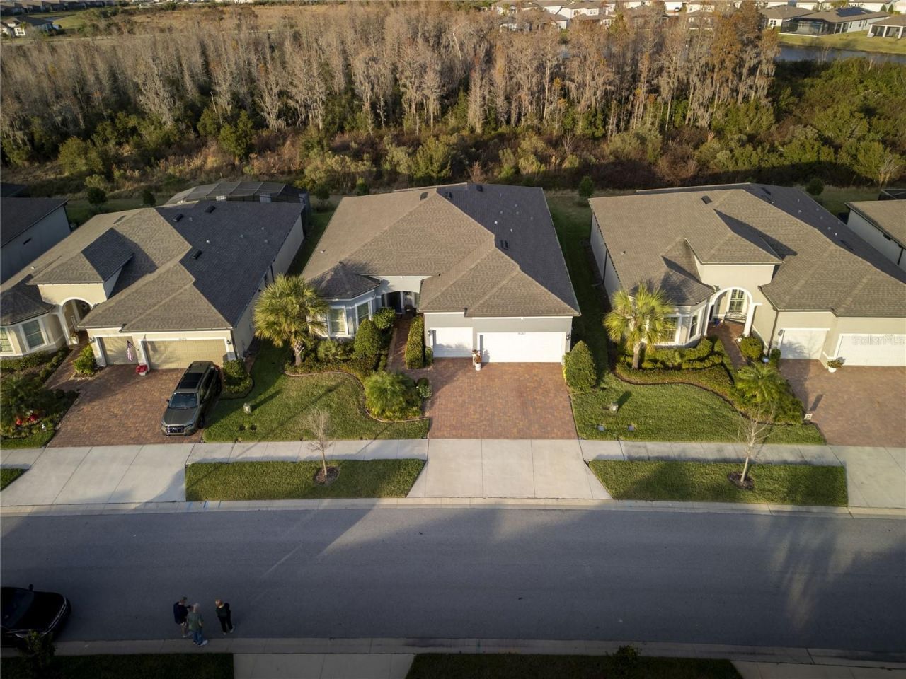 19267 Ship Wheel Way , Land O Lakes, FL 34638 Photo