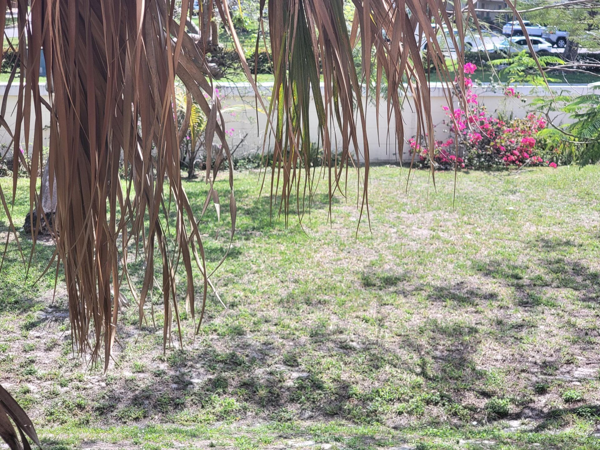 8140 SW 24th Street, Unit 215, North Lauderdale, FL 33068 Photo