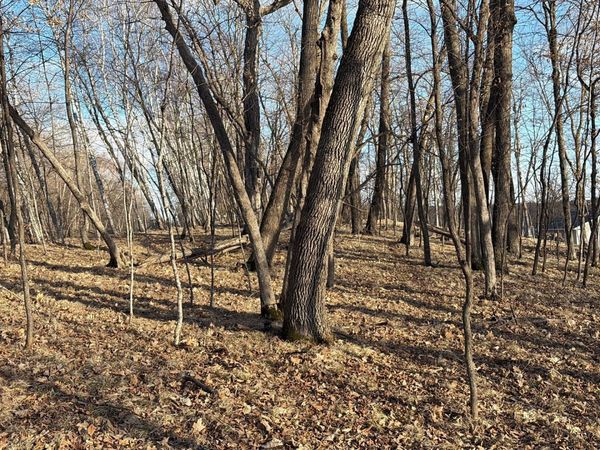 495XX Fish Lake Rd , Pelican Rapids, MN 56572