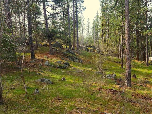 1815 S Eastern Road Rd, Spokane Valley, WA 99212