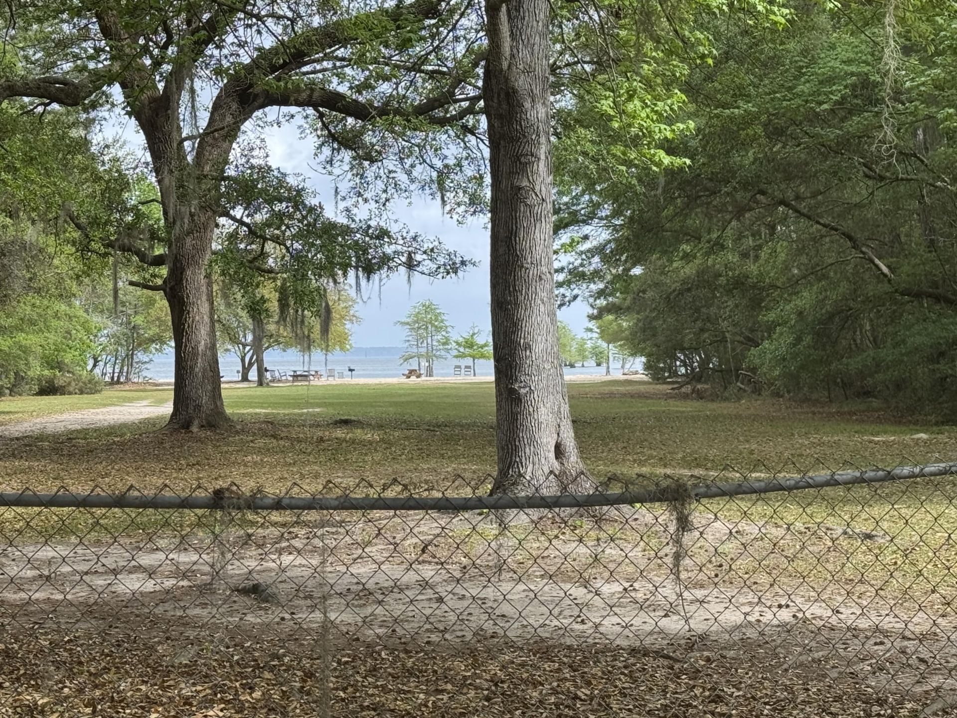 102 Norris Drive Photo 33