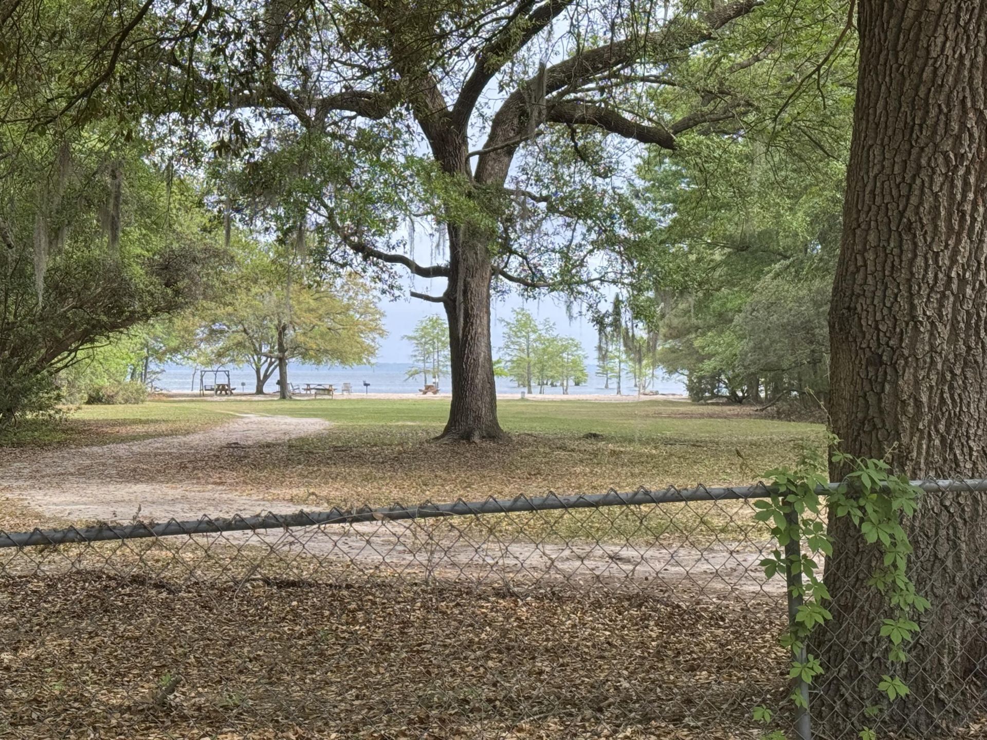 102 Norris Drive Photo 34