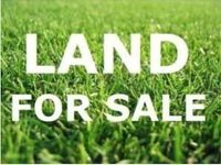 , Chicago, IL 60623 primary photo