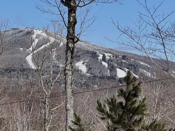 520 Moose Hollow Road, Winhall, VT 05340