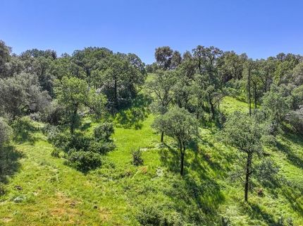 2147 W Green Springs Rd, El Dorado Hills, CA 95762 Photo