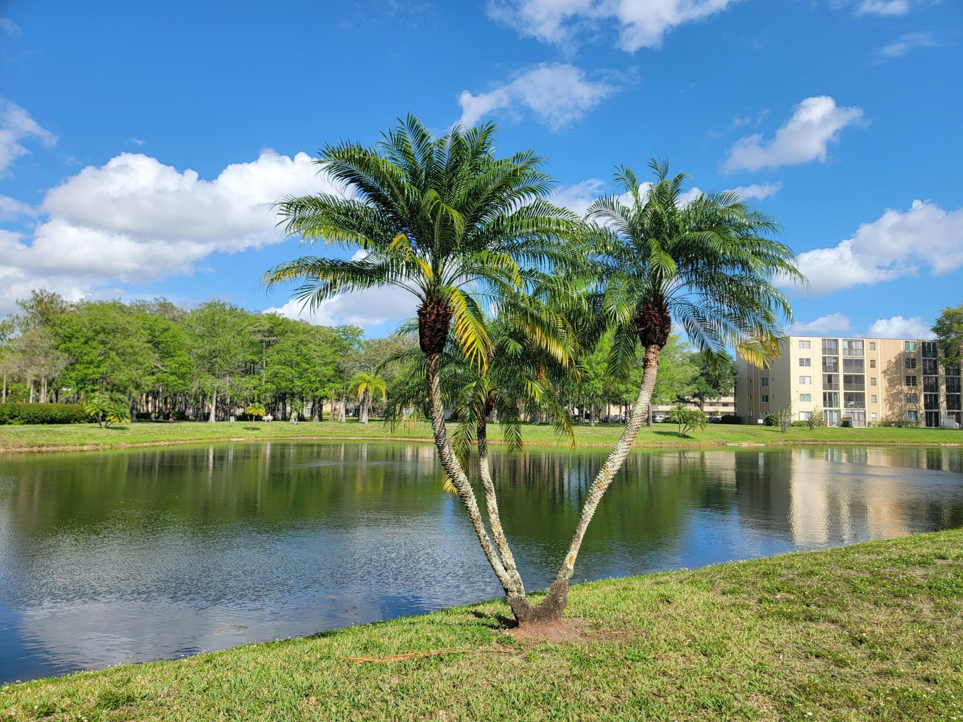 7900 NW 50th Street, Unit #304, Lauderhill, FL 33351 Photo