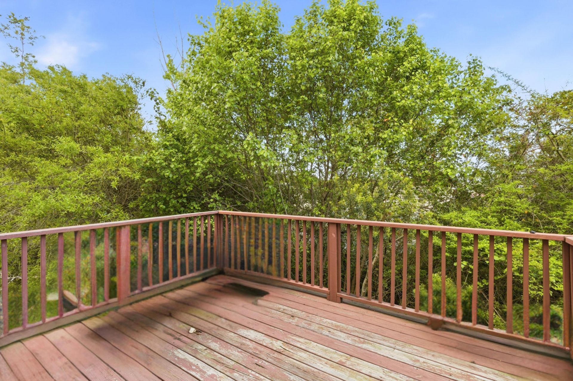 111 Winding River Drive Photo 26