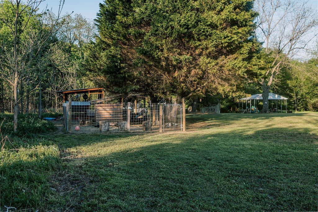 7133 Dally Road Photo 38