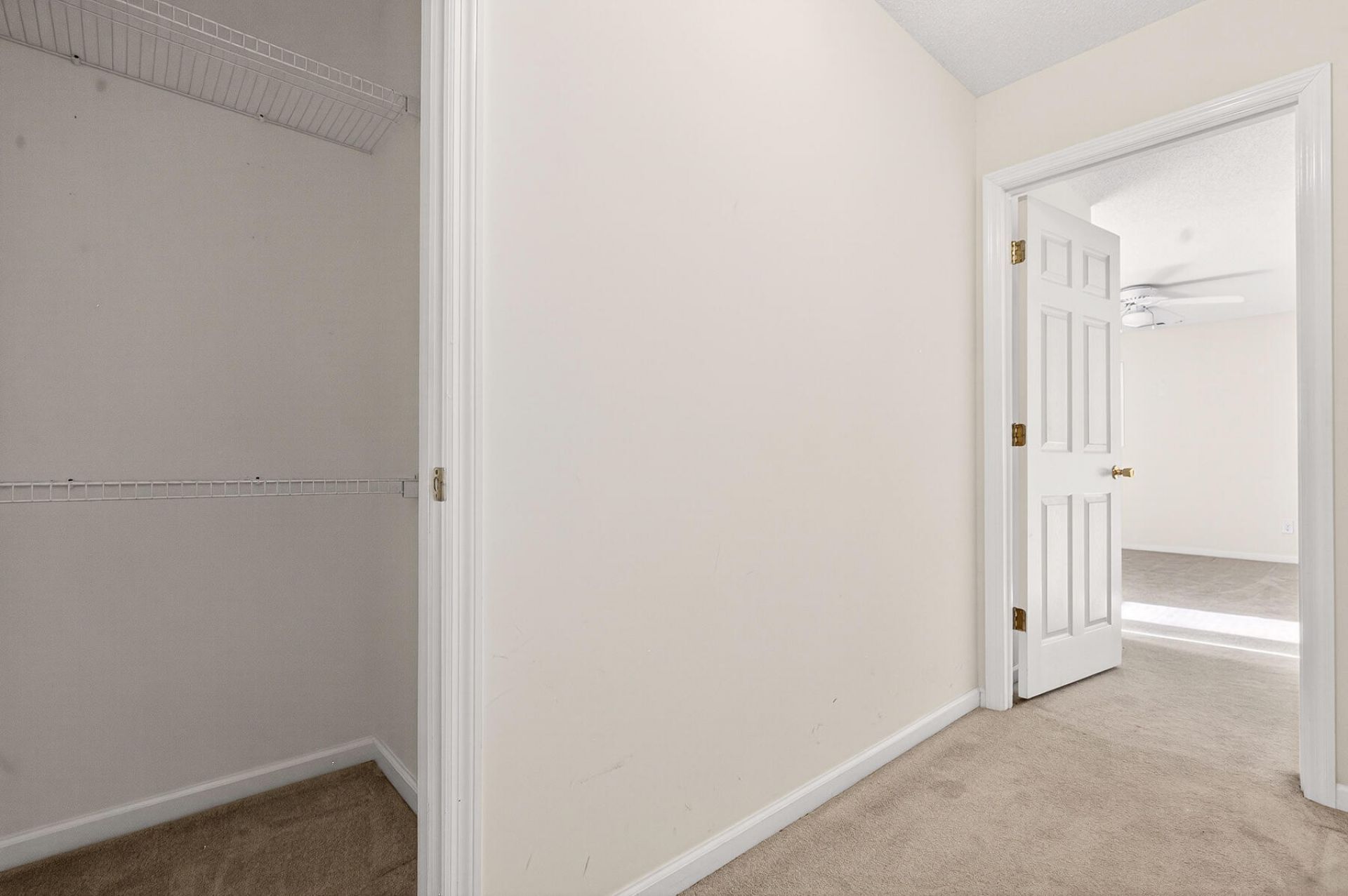 209 Myrtlewood Drive Photo 43