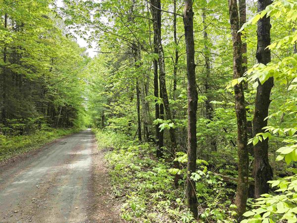 1500 Allard Hill Road, Wheelock, VT 05851