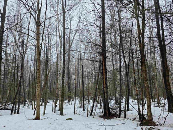 1500 Allard Hill Road, Wheelock, VT 05851