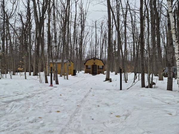 213 Primrose Trail, Gaylord, MI 49735