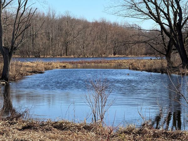 VL E Dowling Road, Dowling, MI 49050