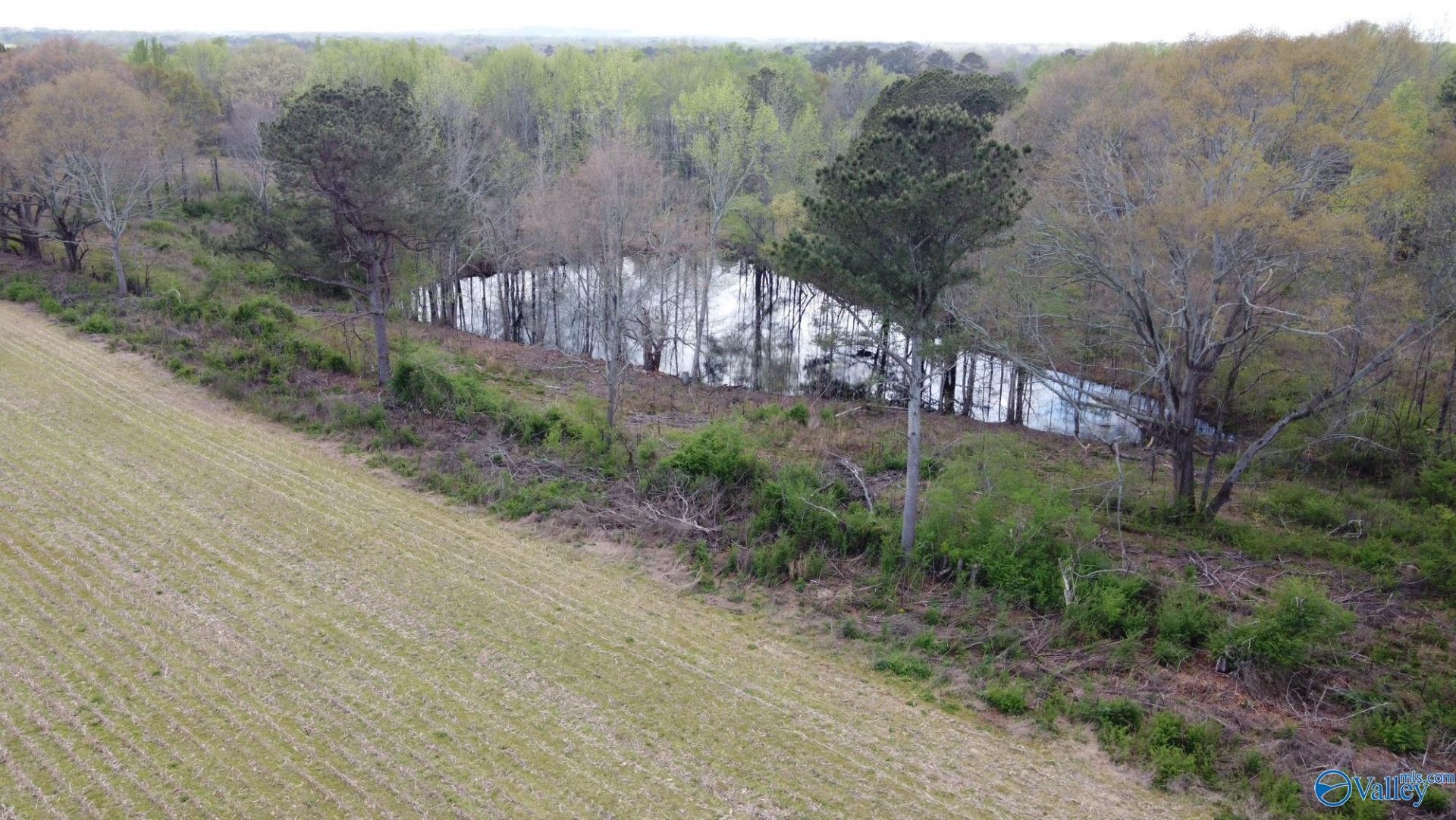 22.63 Acres Walker Road, Boaz, AL 35956 Main Photo