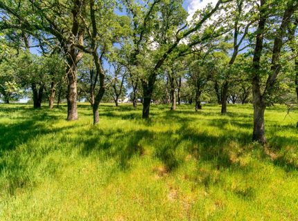 6605 Western Sierra (lot 154) Way, El Dorado Hills, CA 95762 Photo