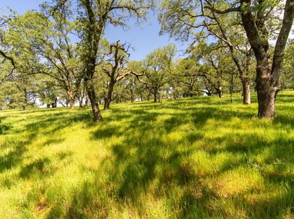 6605 Western Sierra (lot 154) Way, El Dorado Hills, CA 95762 Photo