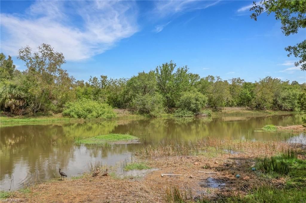 10260 Olivewood Way, Unit 58, Estero, FL 33928 Photo