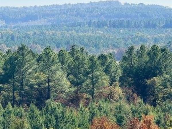 187 Sliding Hill Trail, Broken Bow, OK 74728