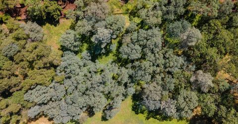 6837 Western Sierra (lot 80) Way, El Dorado Hills, CA 95762 Photo