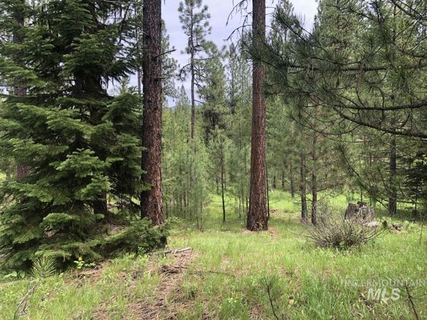 L18 Silver Cloud Drive, Cascade, ID 83611