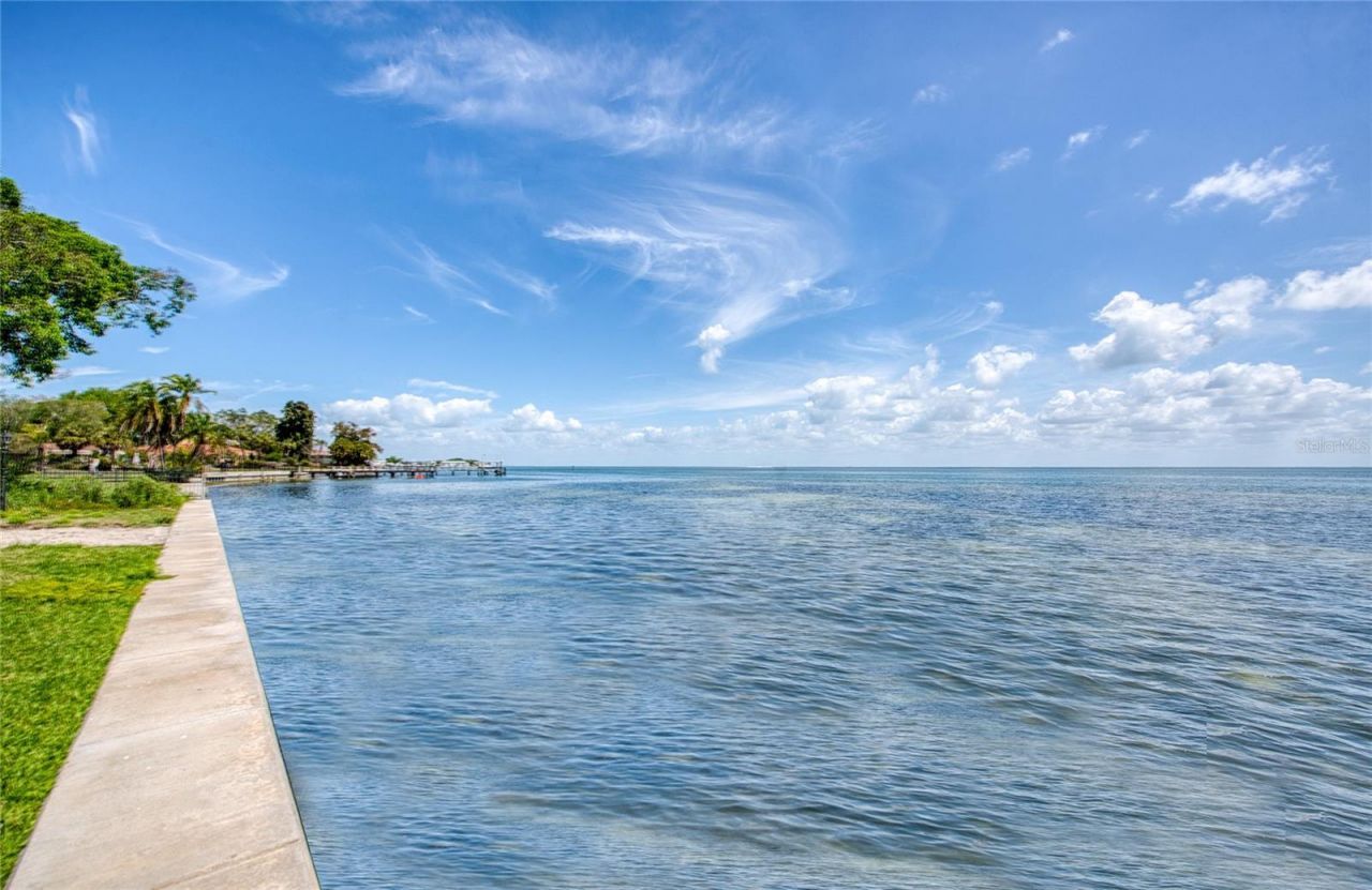 5926 Bahama Shores Drive S, Saint Petersburg, FL 33705 Photo