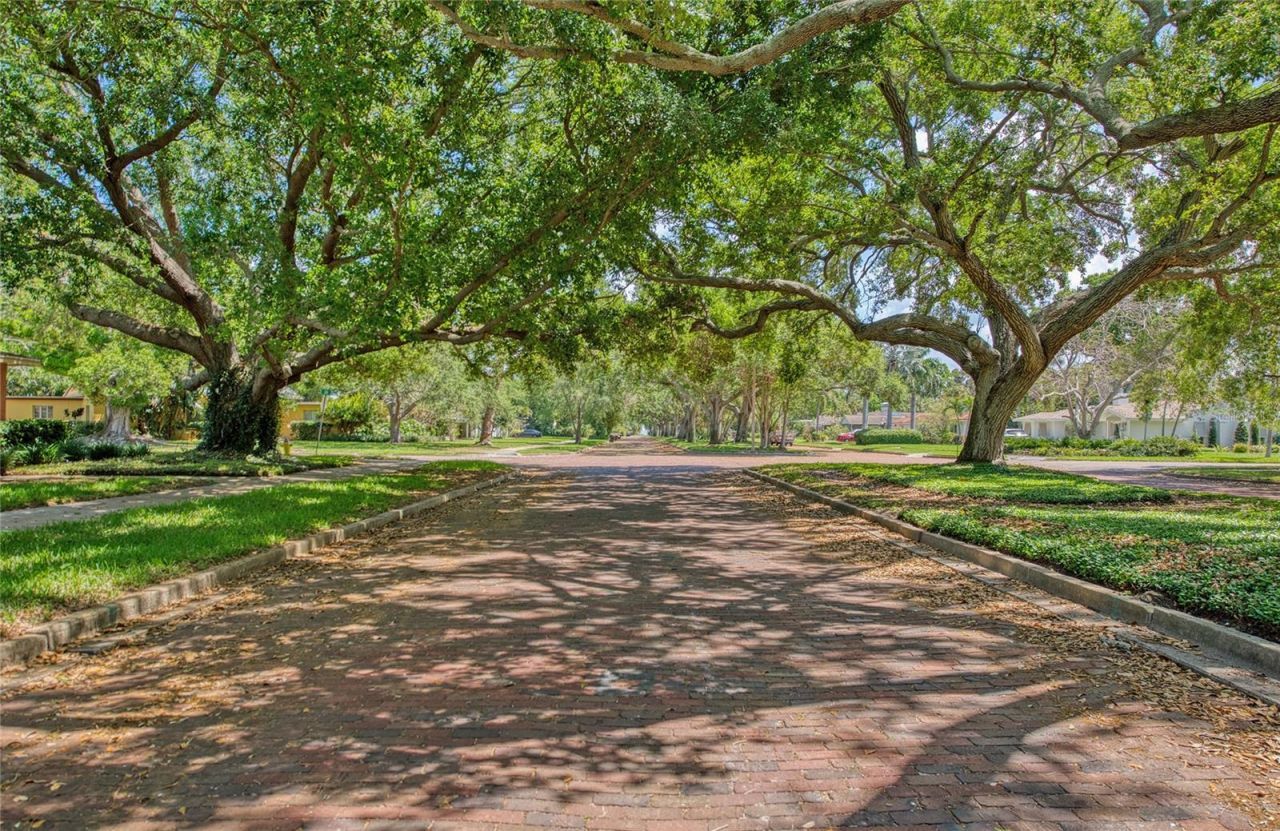 5926 Bahama Shores Drive S, Saint Petersburg, FL 33705 Photo