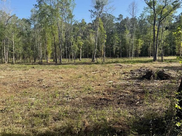 TBD Pauley Swamp Rd. , Conway, SC 29527