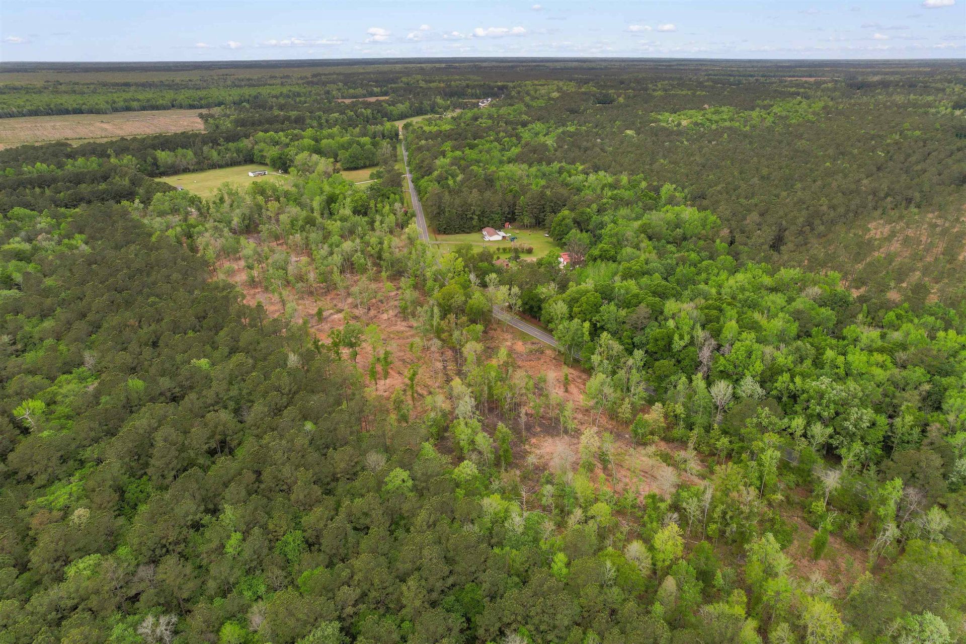 Tbd Pauley Swamp Rd. Photo 6