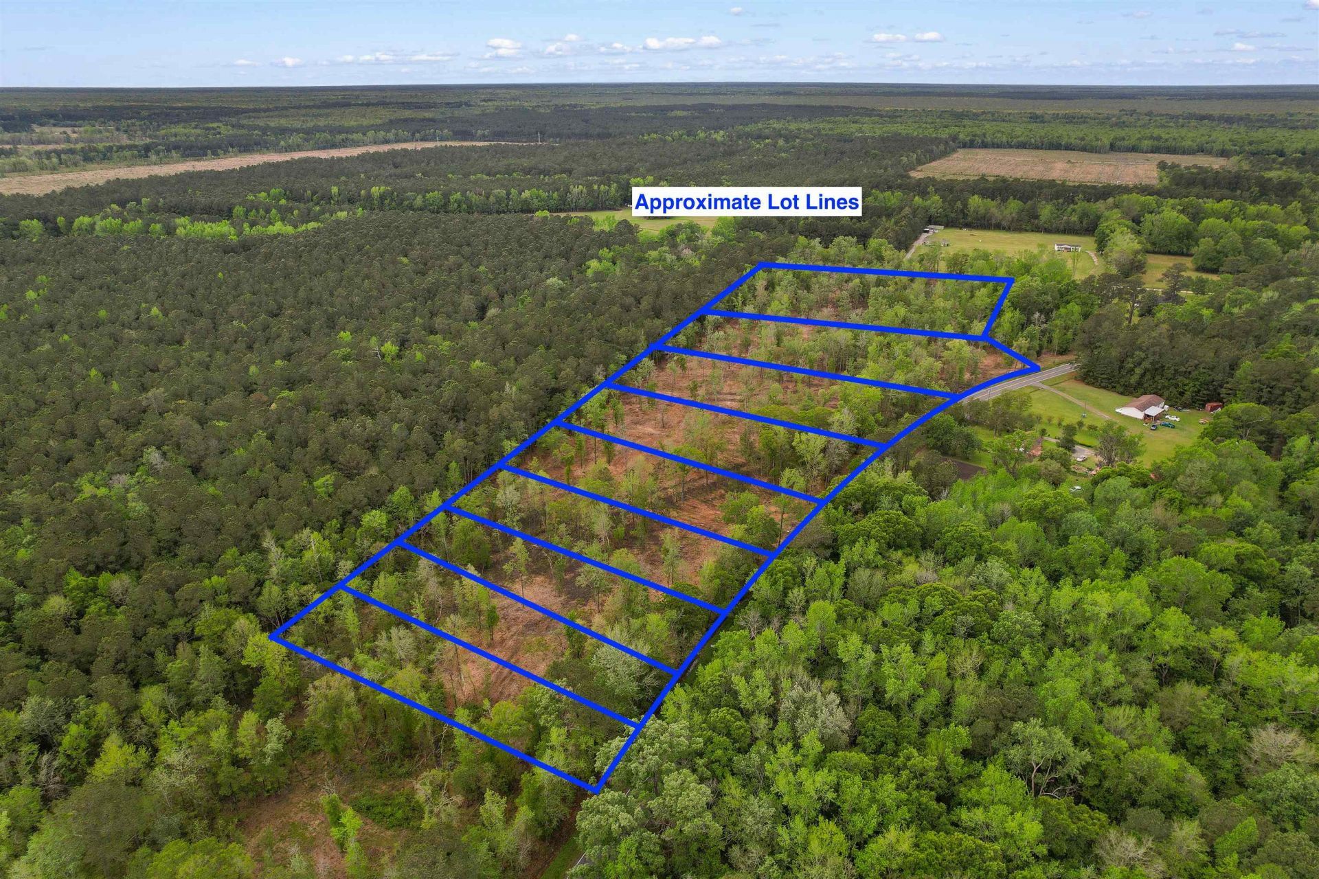 Tbd Pauley Swamp Rd. Photo 4
