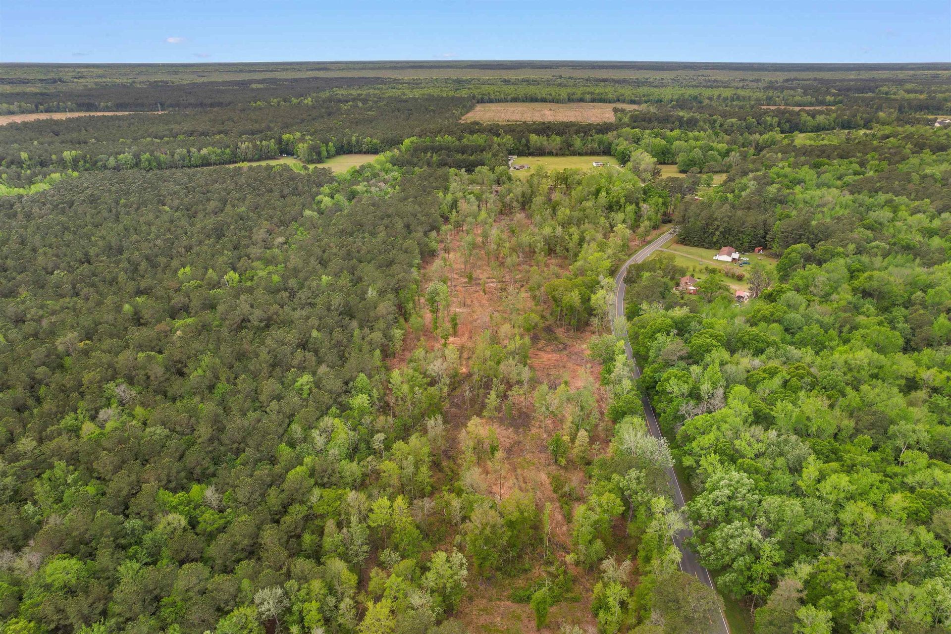 Tbd Pauley Swamp Rd. Photo 5