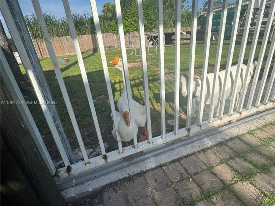Property Image 56