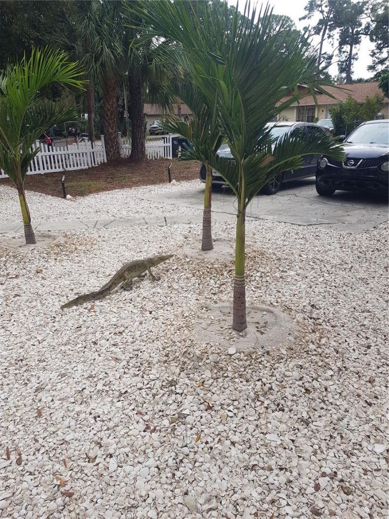 311 58th Avenue E, Bradenton, FL 34203 Photo