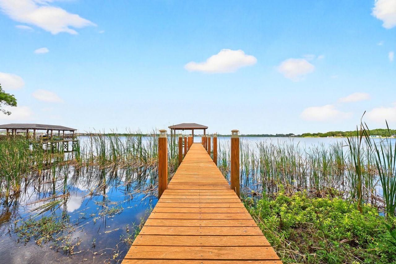 14255 Hampshire Bay Circle, Winter Garden, FL 34787 Photo