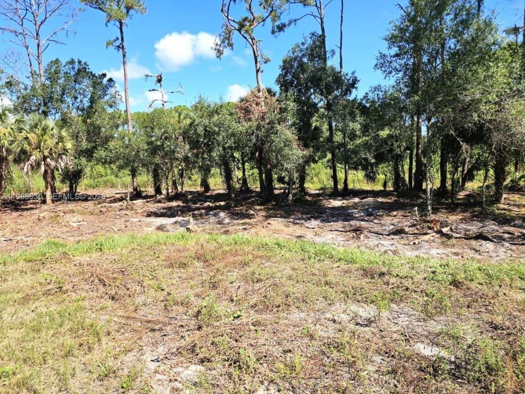 881 Woodland Blvd , Clewiston, FL 33440 Photo