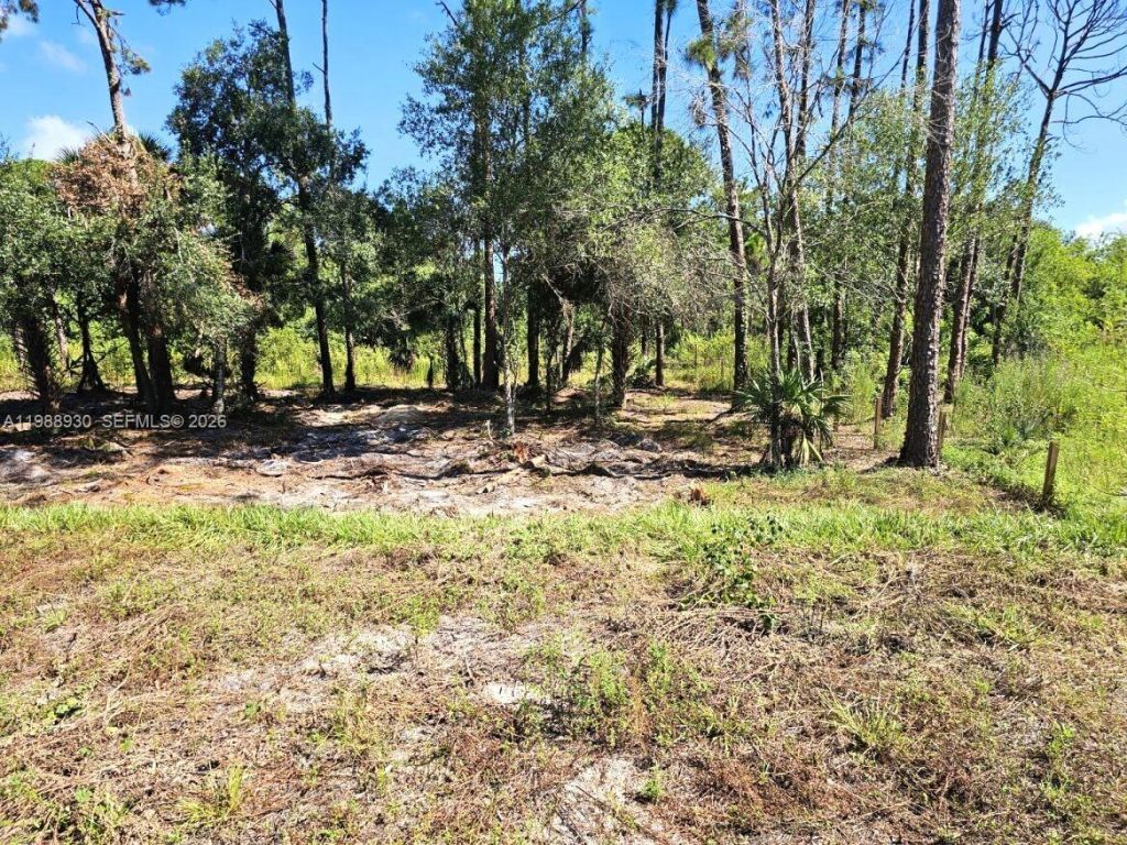 881 Woodland Blvd , Clewiston, FL 33440 Photo