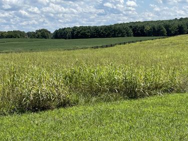 40 Beacon Street, Russell Springs, KY 42642