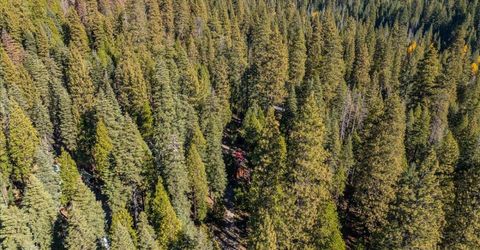 18138 Ash Way, Mill Creek, CA 96061 Photo