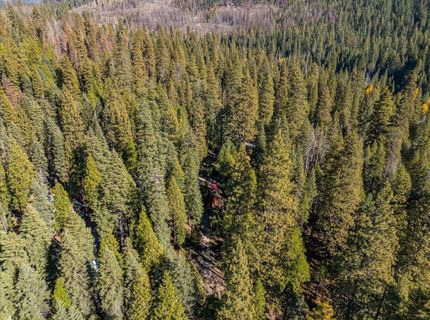 18138 Ash Way, Mill Creek, CA 96061 Photo