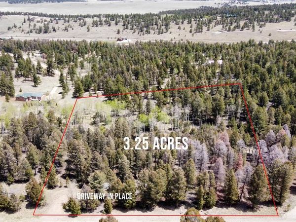 1980 Pitchfork Road , Hartsel, CO 80449
